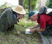 1.6. Botanischer Rundgang 4